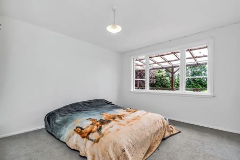 Photo of property in 183 Smythes Road, Leeston, 7682