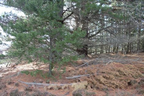 Photo of property in 56 Ohau Drive, Lake Ohau, Twizel, 9412