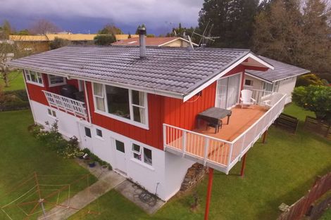 Photo of property in 147 Tirau Street, Putaruru, 3411