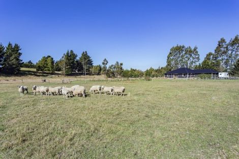 Photo of property in 88 Bush Road, Oxford, 7430