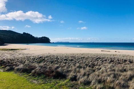 Photo of property in 203 Onemana Drive, Onemana, Whangamata, 3691