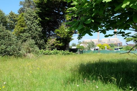 Photo of property in 161a Hakanoa Street, Huntly, 3700