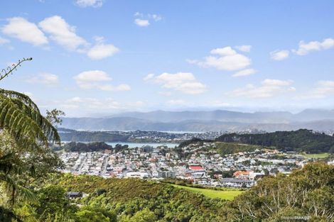 Photo of property in 31 Havelock Street, Mornington, Dunedin, 9011