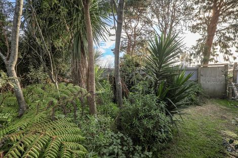 Photo of property in 56 Semple Street, Huntly, 3700