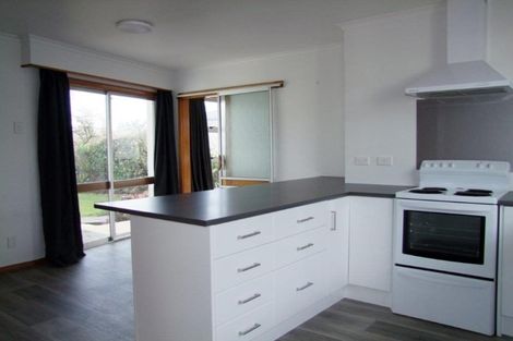 Photo of property in 217 Union Street, Milton, 9220