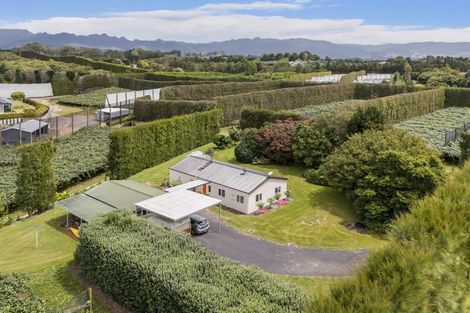 Photo of property in 81 Lockington Road, Aongatete, Katikati, 3181