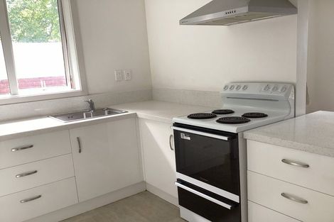 Photo of property in 3 Avon Street, Roslyn, Dunedin, 9010
