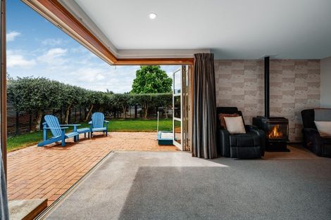 Photo of property in 3 Farrier Court, Cromwell, 9310