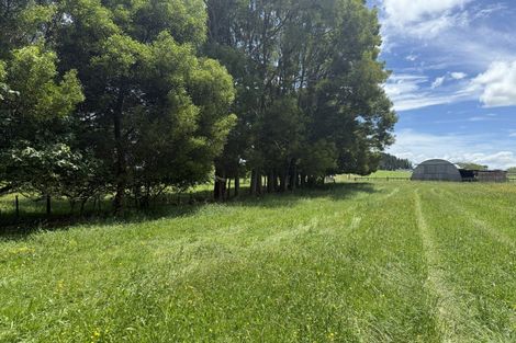 Photo of property in 15 Scott Road, Putaruru, 3483