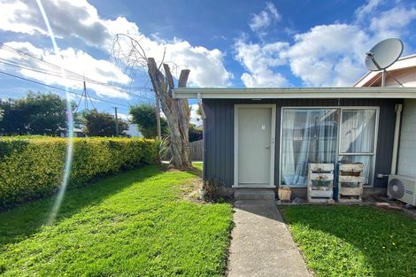 Photo of property in 1/206 Hastings Street East, Waltham, Christchurch, 8023