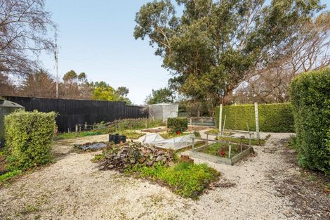Photo of property in 1310 Marshmans Road, Balcairn, Amberley, 7481