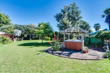 Photo of property in 59 Latham Street, Napier South, Napier, 4110
