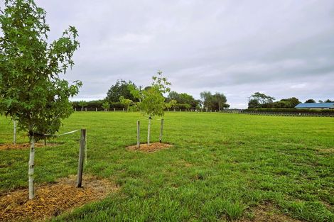 Photo of property in 5 Arete Lane, Levin, 5571