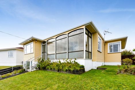 Photo of property in 19 Essex Street, Vogeltown, New Plymouth, 4310