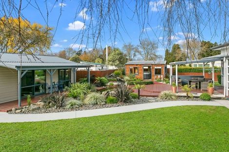 Photo of property in 72a Smith Street, Matamata, 3400