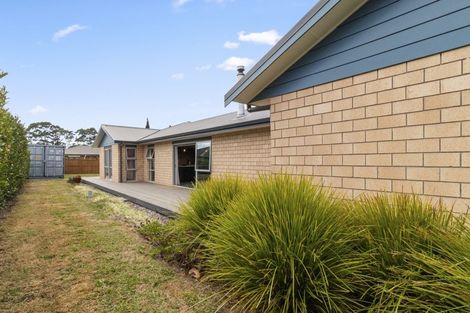 Photo of property in 1 Shrewsbury Place, Katikati, 3129