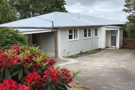 Photo of property in 25 Pakefield Street, Balclutha, 9230
