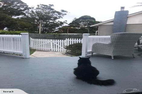 Photo of property in 29 Glenview Road, Glen Eden, Auckland, 0602