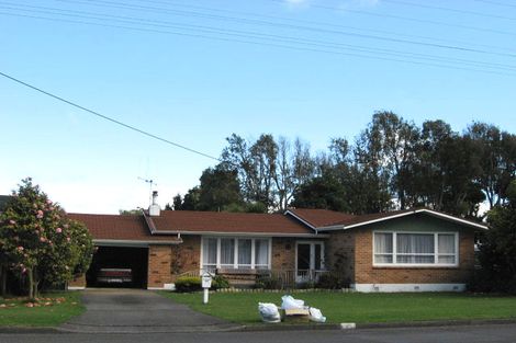 Photo of property in 46 Macarthur Street, Levin, 5510