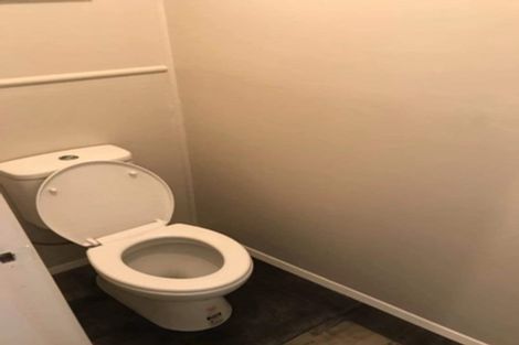 Photo of property in 57 Ascot Road, Chartwell, Hamilton, 3210