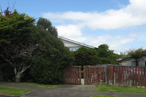 Photo of property in 24 Finlayson Avenue, Clendon Park, Auckland, 2103