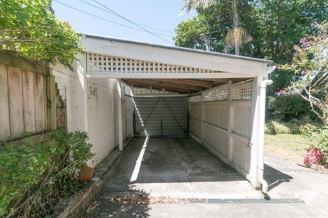 Photo of property in 17 Karetu Road, Greenlane, Auckland, 1051