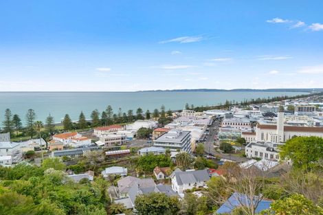 Photo of property in 12 Brewster Street, Bluff Hill, Napier, 4110