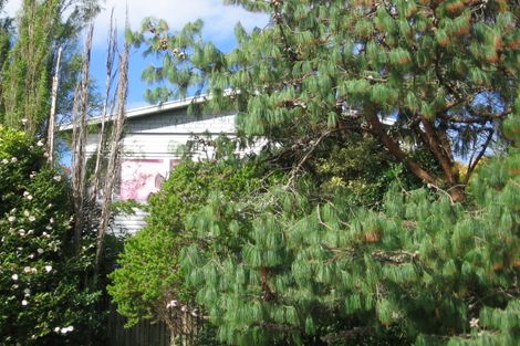 Photo of property in 1/46 Newington Road, Henderson, Auckland, 0612