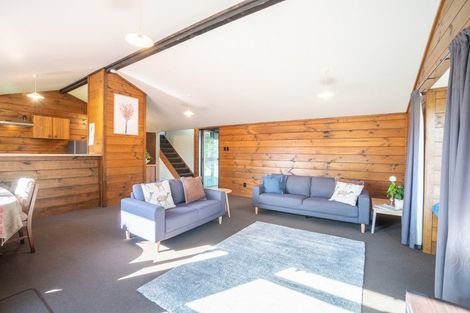 Photo of property in 66c Limbrick Street, Terrace End, Palmerston North, 4410