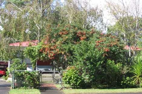 Photo of property in 20 Normandy Place, Henderson, Auckland, 0610