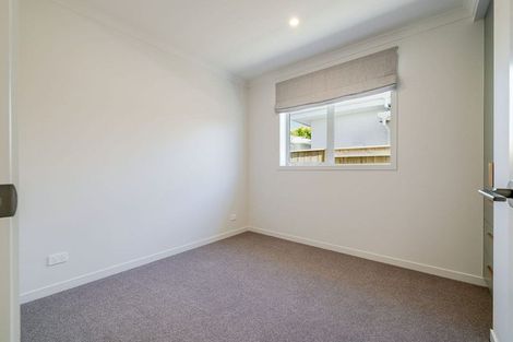 Photo of property in 43a Birmingham Street, Takaro, Palmerston North, 4412