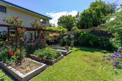 Photo of property in 12 Coulson Place, Alexandra, 9320