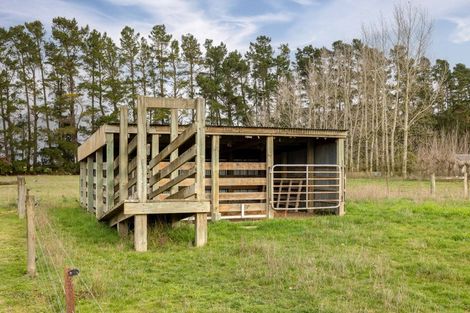 Photo of property in 1465 South Eyre Road, Swannanoa, 7476