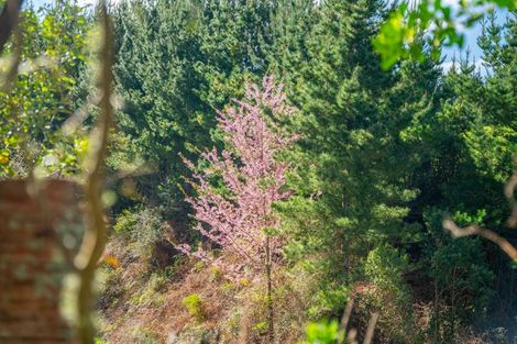 Photo of property in 514 State Highway 1, Wairakei, Taupo, 3384