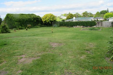 Photo of property in 204 Hakanoa Street, Huntly, 3700