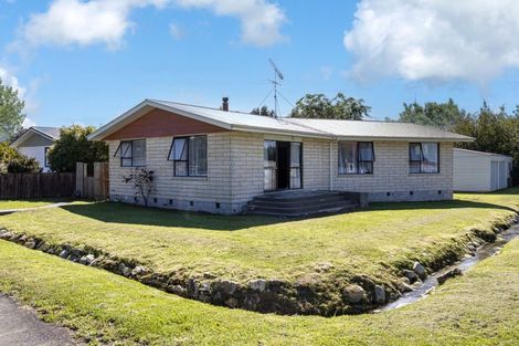 Photo of property in 82 Hoods Road, Mount Somers, Ashburton, 7771