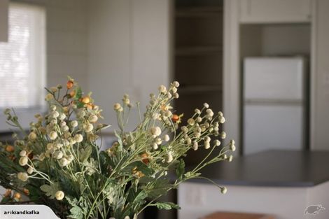 Photo of property in 79f St Marys Road, Saint Marys Bay, Auckland, 1011