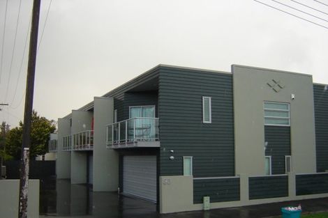 Photo of property in 30c Charlemont Street, Whitiora, Hamilton, 3200