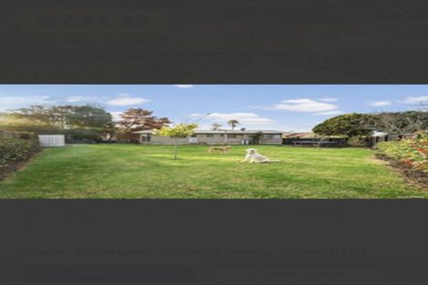 Photo of property in 31 Churchill Street, Pukekohe, 2120