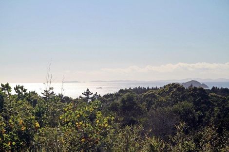 Photo of property in 463 Henderson Bay Road, Houhora, Pukenui, 0484
