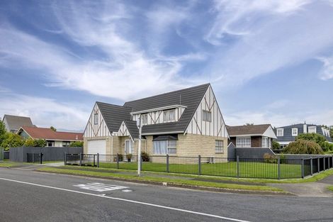 Photo of property in 40 Burn Street, Levin, 5510