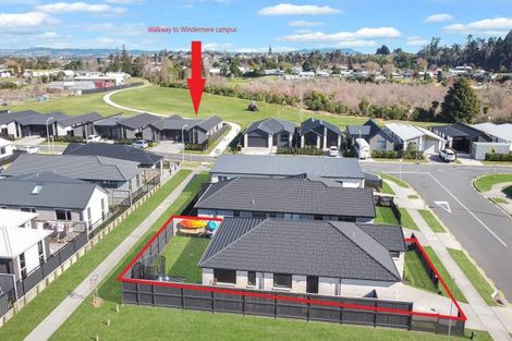 Photo of property in 19 Kuihi Street, Poike, Tauranga, 3112