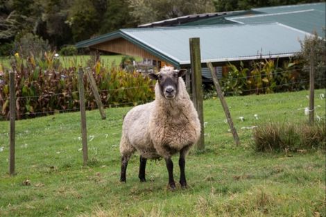 Photo of property in 79 Ahuroa Road, Puhoi, Warkworth, 0994