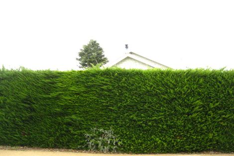 Photo of property in 50 Park Road, Warrington, Waikouaiti, 9471