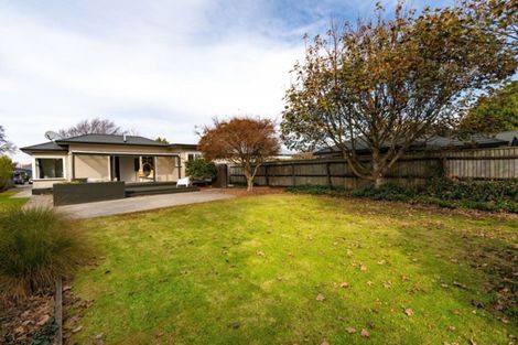 Photo of property in 115 Paparoa Street, Papanui, Christchurch, 8053