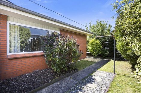 Photo of property in 66b Albert Street, Saint Clair, Dunedin, 9012