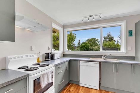 Photo of property in 41a Avenue Road, Foxton, 4814