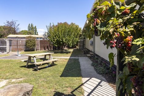 Photo of property in 3 Saul Lane, Springlands, Blenheim, 7201