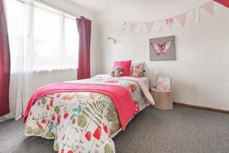 Photo of property in 55 Elliott Crescent, Havelock North, 4130