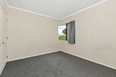 Photo of property in 120b Fourteenth Avenue, Tauranga South, Tauranga, 3112
